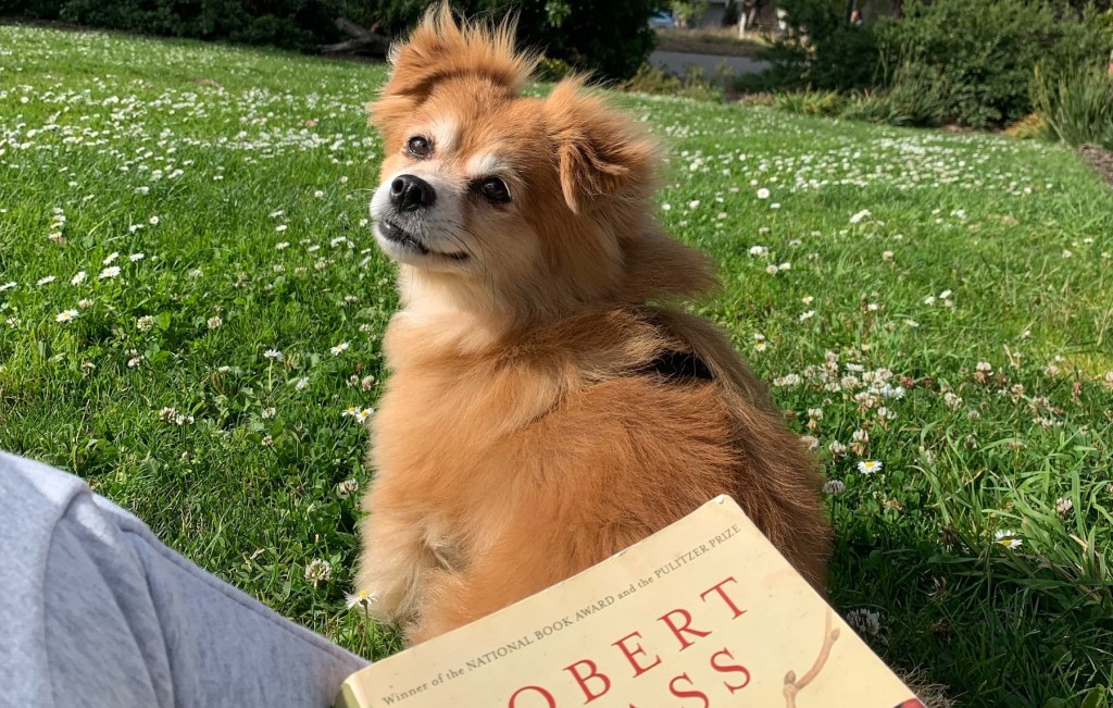 Nothing All That “Environmental” – Just Thoughts