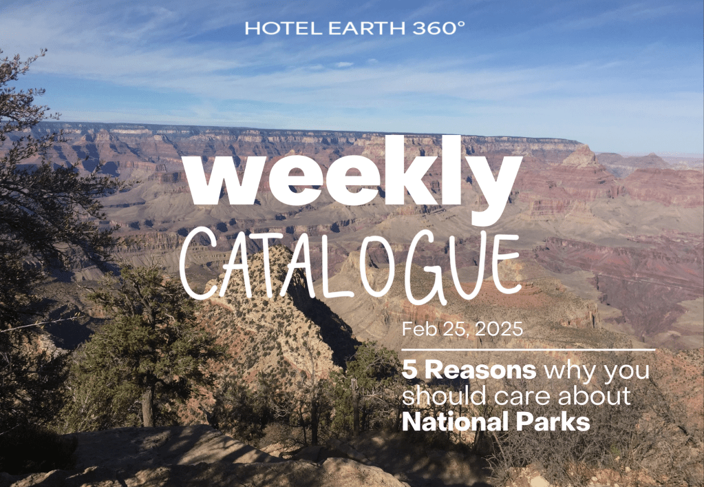 Weekly Catalogue Feb 25,&nbsp;2025